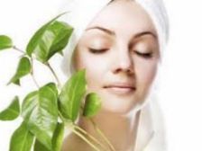 చర్మం నునుపుదేలి కోమలంగా ఉండాలంటే..