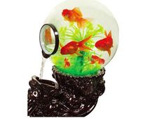 అక్వేరియం కొనాలనుకొంటున్నారా...?