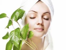 కాలుష్యం నుండి చర్మాన్ని సంరక్షించుకోవడం ఎలా..?