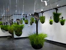 కిచెన్ హ్యాంగింగ్ గార్డెన్