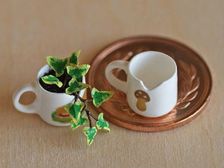 పగిలిన పింగాని కప్పులు..ప్లాస్టిక్ డబ్బాలతో మీఇంట్లో పచ్చదనం