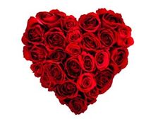 ప్రేయసి ఇచ్చే గులాబీతో స్వప్నలోకంలో విహరించండి...