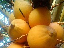  ఆరోగ్యాన్ని సంరక్షించే నీటి ప్రత్యామ్నాయాలు!