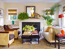 ఇండోర్ ప్లాంట్స్ తో ఇల్లంతా గో గ్రీన్...