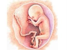 అపుడే పుట్టిన బిడ్డకు బొడ్డు తాడు ప్రాధాన్యం!