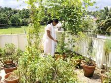 టై గార్డెన్ తో ఆనందమయ జీవితం....