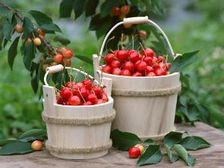 నిద్రలేని రాత్రులు పట్టి పీడిస్తున్నాయా? 