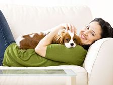 పెట్స్ ను చంటిపిల్లా చూసుకోవడం ఎలా..