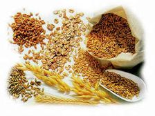 మీ గుండెకు బలవర్ధకమైన ఆహారం!