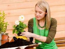 పూల మొక్కలు ఇంట్లో ఉంటే ఆ ఇల్లంతా తాజాదనం..