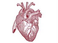 గుండె జబ్బులు - ఆకస్మిక మరణాలు!