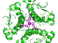 ఇన్సులిన్ అధికం అయితే హాని కలుగుతుందా? 