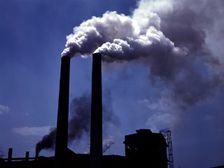  పర్యావరణ కాలుష్యంతో  షుగర్ వ్యాధి!  