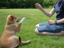 ఆప్యాయతలోనూ...అప్రమత్తతలోనూ..జాగ్రత్తలు