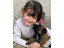 పెంపుడు కుక్కలతో మీ పిల్లలు జాగ్రత్త....