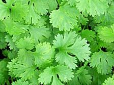 దగ్గు, జలుబు, జ్వరం లకు ఇంటి పరిష్కారం?