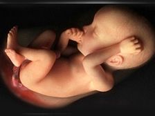 గర్భస్ధ శిశువుకు బొడ్డుతాడు ప్రాధాన్యత!