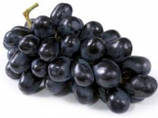  నల్ల ద్రాక్ష తింటే డయాబెటీస్ తగ్గుతుందా? 