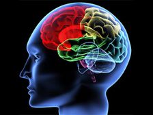 మెదడును క్షీణింపజేసే రోజువారీ అలవాట్లు?