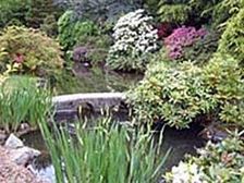 ప్రకృతి అందం