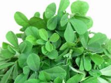 ఆరోగ్య ప్రయోజనాలిచ్చే ఆకుకూర విలువలు!