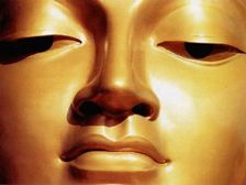 బుద్దిని కోసం వెదుకుట