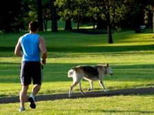 మీ పెట్ నుండి మీరు ఏం నేర్చుకుంటున్నారు? 