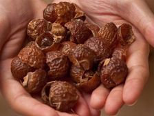 హానిలేని గర్భ నిరోధక సాధనం....కుంకుడు కాయ!