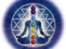 ఏనుగు, ఫ్లియా-జెన్ స్టోరీ