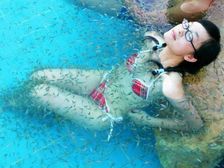 చేప తింటే .....షుగర్ వ్యాధి మాయం!