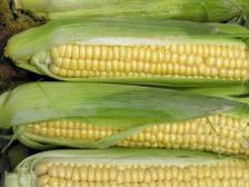 గుండె జబ్బులను ఆమడ దూరం పరిగెత్తించే మొక్కజొన్న పొత్తులు...