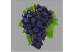 కొలెస్ట్రాల్ ను కంట్రోల్లో ఉంచే నల్ల ద్రాక్ష.... 