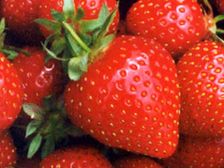 మీరు నల్లగా ఉంటే వీటితో మీ చర్మకాంతిని పెంపొందించుకోండి...