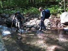 మానసికంగా చెక్కు చెదరకుండా ఉండడమే అసలైన వివేకం..