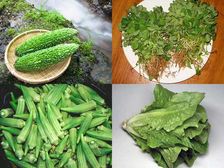 మధుమేహగ్రస్తులు నిరభ్యంతరంగా తినగలిగే 8 కూరగాయలు