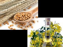  ఈ ఫ్యాట్ బర్నింగ్ ఫుడ్స్ తో పురుషుల చిరుబొజ్జ ఇట్టే మాయం...!