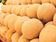 వేసవి ఎనర్జీతో పాటు అనేక ఆరోగ్య ప్రయోజనాలందించే దోసకాయ