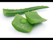  కలబందలోని 12 గ్రేట్ హెల్త్ అండ్ బ్యూటీ బెనిఫిట్స్!