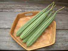 నేతి బీరకాయలోని గొప్ప ఆరోగ్య ఔషధగుణాలు