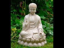 ఖచ్చితమైన జెన్ గార్డెన్ ని ఎలా సృష్టించాలి?