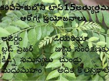 కరవేపాకే కదా....అనకండి అందులోని గొప్ప ఔషధ గుణాలు చూడండి...