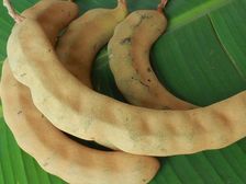 ఆకలి అనిపించడం లేదా? ఐతే ఈ చిట్కాలను పాలోఅవ్వండి... 