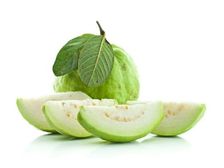 జామ ఆకులో ఆశ్చర్యం కలిగించి అద్భుతమైన ఆరోగ్య ప్రయోజనాలు