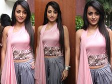 సకలకళ వల్లవన్ ప్రెస్ మీట్ లో త్రిష న్యూ లుక్ 