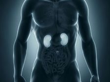 తరచూ మూత్రవిసర్జనకు కారణం అయ్యే ఆహారాలు...!: మూత్రవిసర్జన సమస్యలు