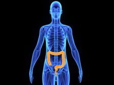 ప్రేగులను శుభ్రపరిచి, బరువు తగ్గించే ఫైబర్ రిచ్ ఫుడ్స్