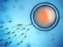 పిల్లల కోసం ప్లాన్ చేసుకొనే వారికి ది బెస్ట్ మేల్ ఫెర్టిలిటి ఫుడ్స్..