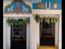 మామిడాకులనే ఎందుకు తోరణాలుగా ఎంచుకున్నారు ?