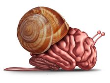 మెదడుపై దుష్ర్పభావం చూపే 10 అన్ హెల్తీ హ్యాబిట్స్