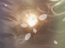 పురుషుల్లో వీర్యం మరియు వీర్యకణాల గురించి కొన్ని సీక్రెట్ ఫ్యాక్ట్స్ 